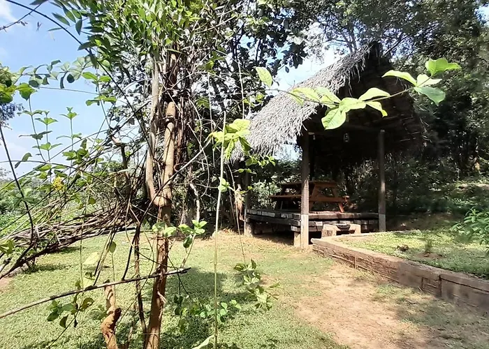 Private Cabin And Private Kitchen - Experience Serenity, And Beautiful Nature