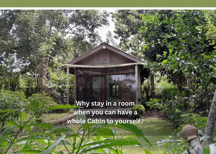 Private Cabin And Private Kitchen - Experience Serenity, And Beautiful Nature
