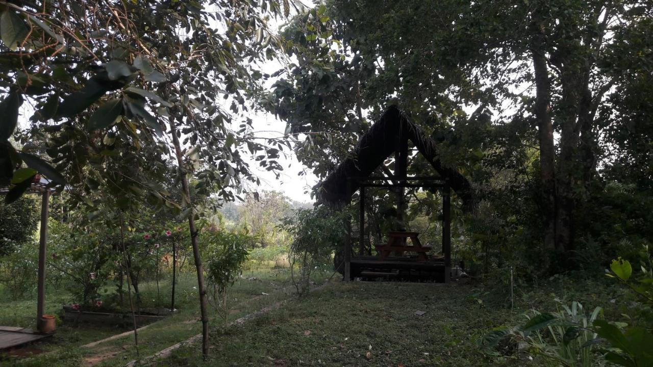 अपार्टमेंट Private And Private Kitchen - Experience Serenity, And Beautiful Nature