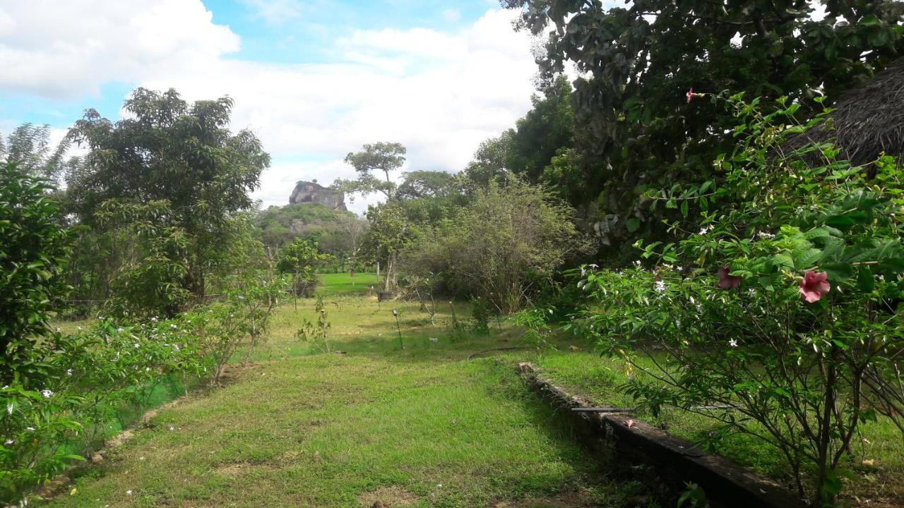 Private And Private Kitchen - Experience Serenity, And Beautiful Nature अपार्टमेंट Sigiriya