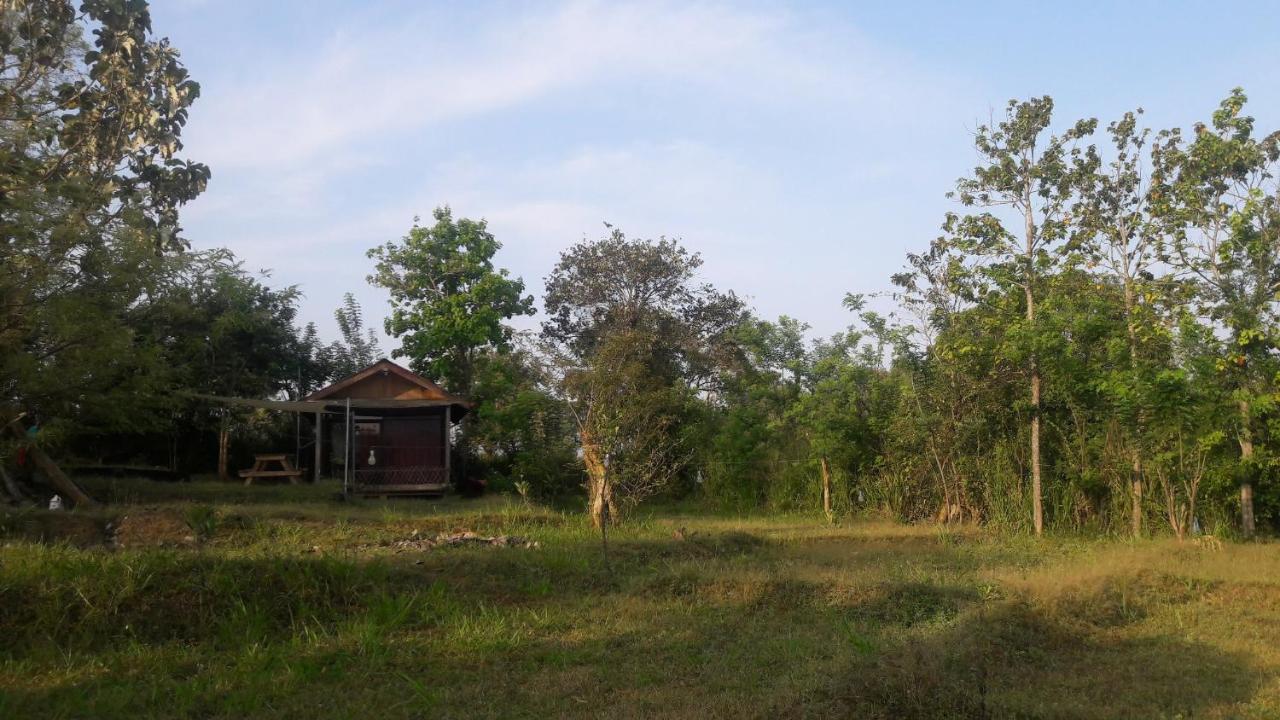 Private And Private Kitchen - Experience Serenity, And Beautiful Nature अपार्टमेंट