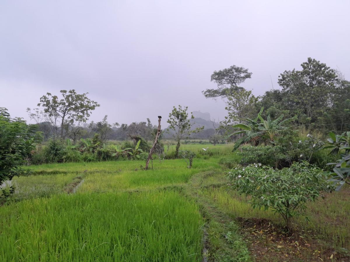 अपार्टमेंट Private And Private Kitchen - Experience Serenity, And Beautiful Nature