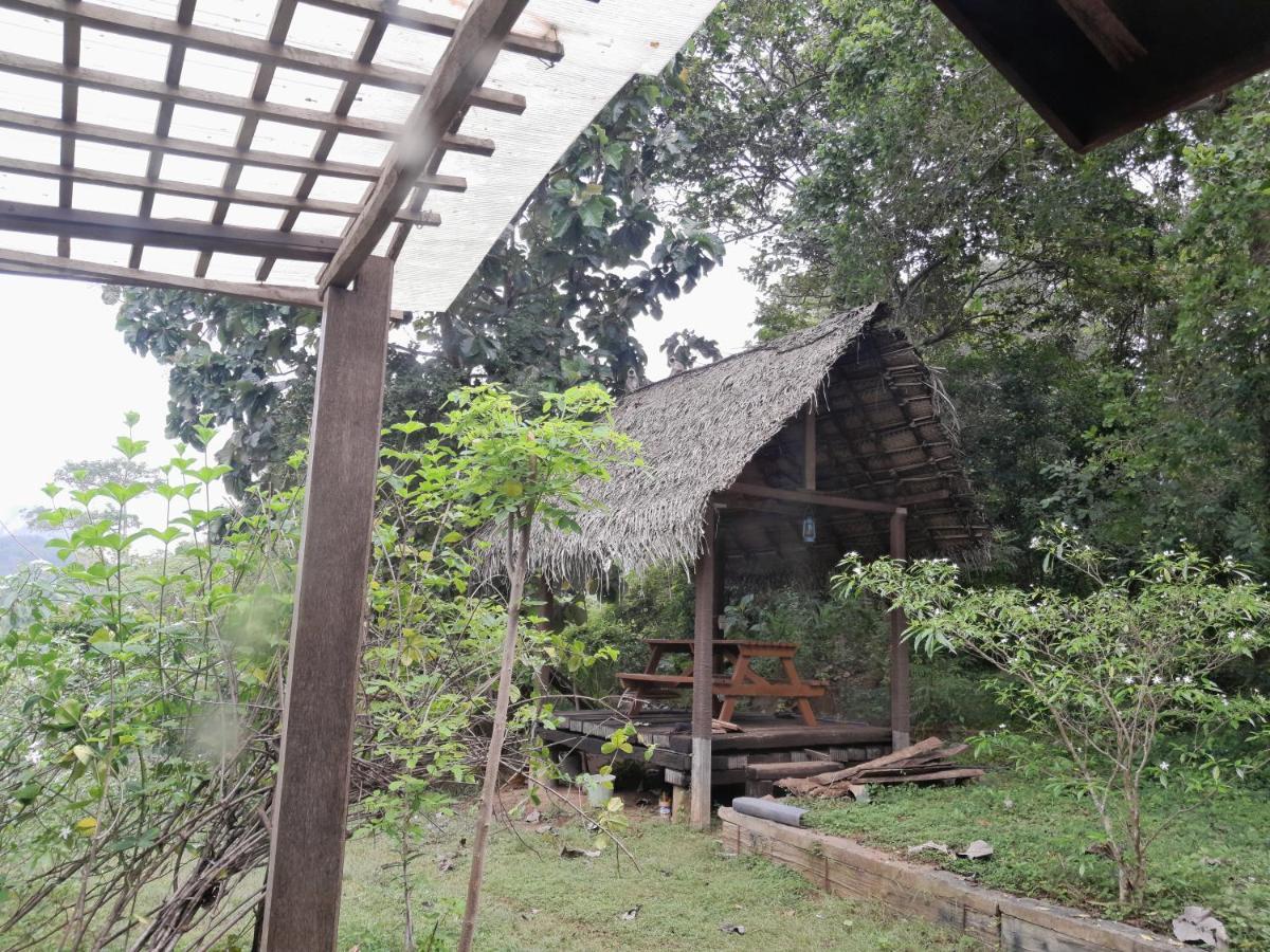 अपार्टमेंट Private And Private Kitchen - Experience Serenity, And Beautiful Nature *