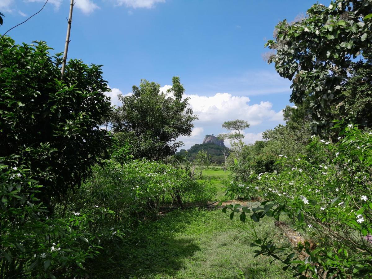 Private And Private Kitchen - Experience Serenity, And Beautiful Nature Sigiriya