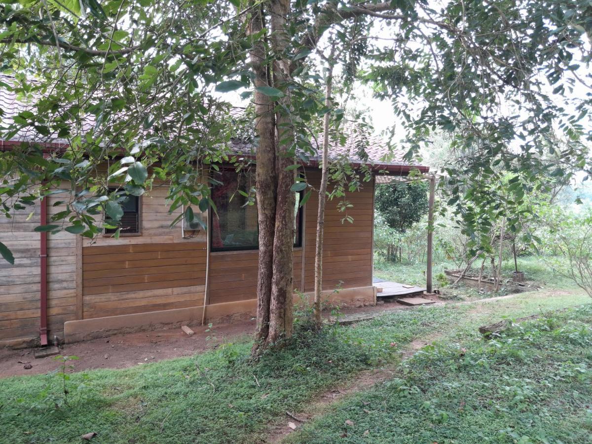 Private And Private Kitchen - Experience Serenity, And Beautiful Nature Sigiriya